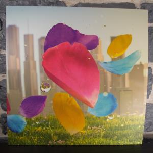 Flower Vinyl Soundtrack (02)
